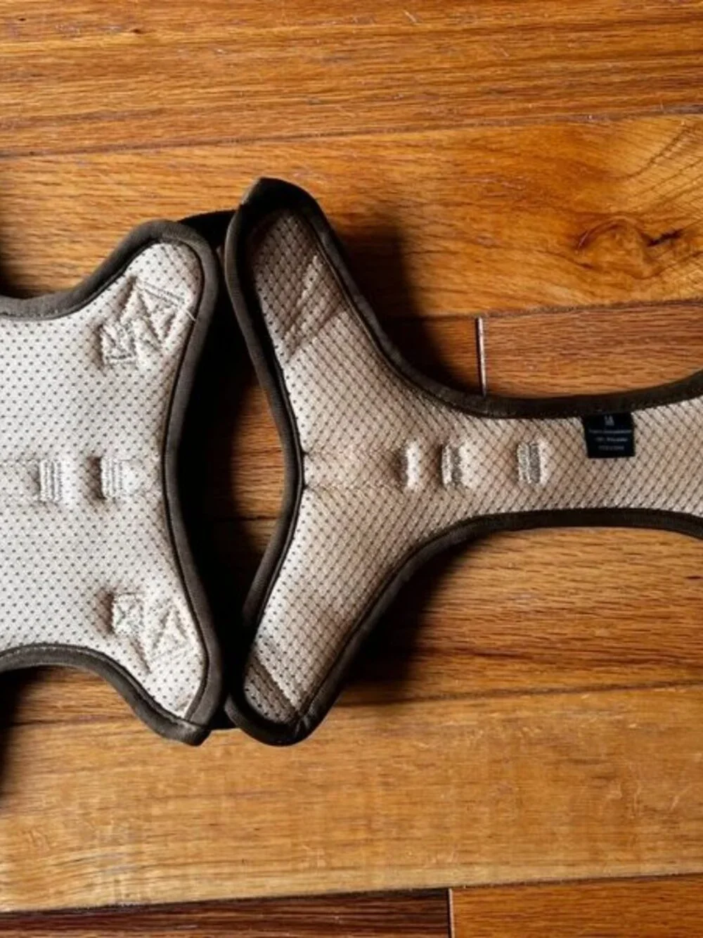 Auroth tactical dog